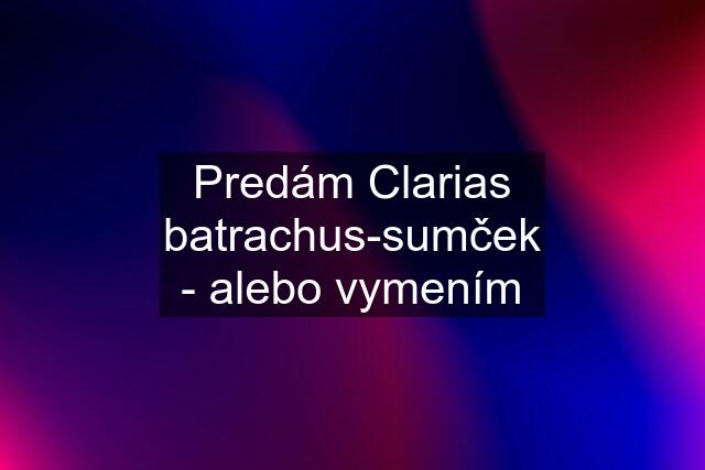 Predám Clarias batrachus-sumček - alebo vymením