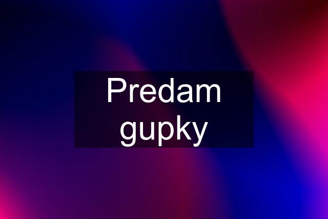 Predam gupky