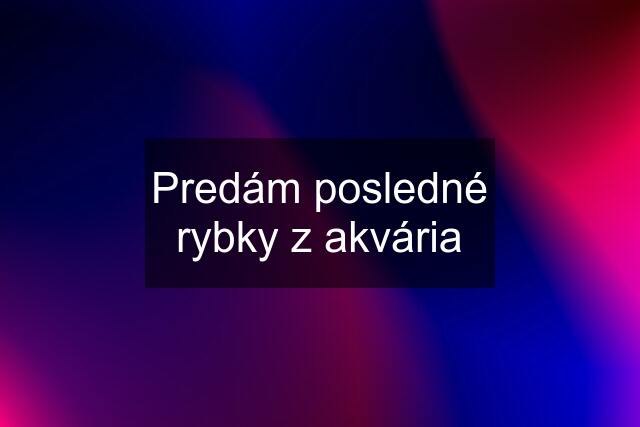 Predám posledné rybky z akvária