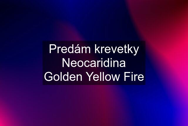 Predám krevetky Neocaridina Golden Yellow Fire