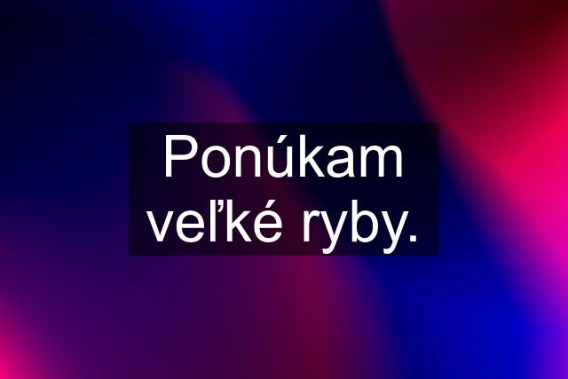 Ponúkam veľké ryby.