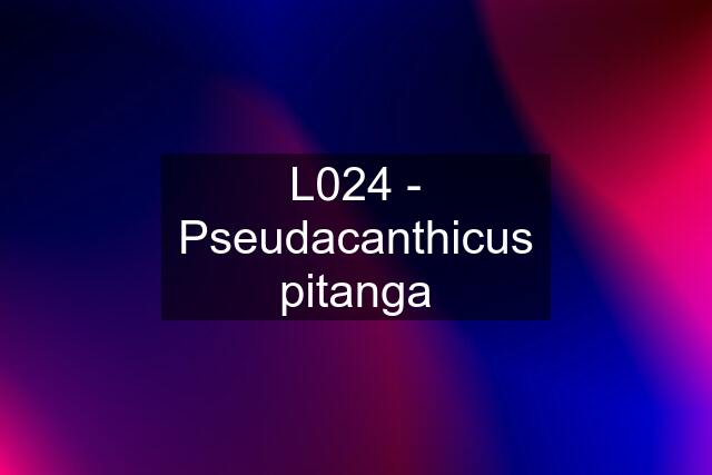 L024 - Pseudacanthicus pitanga