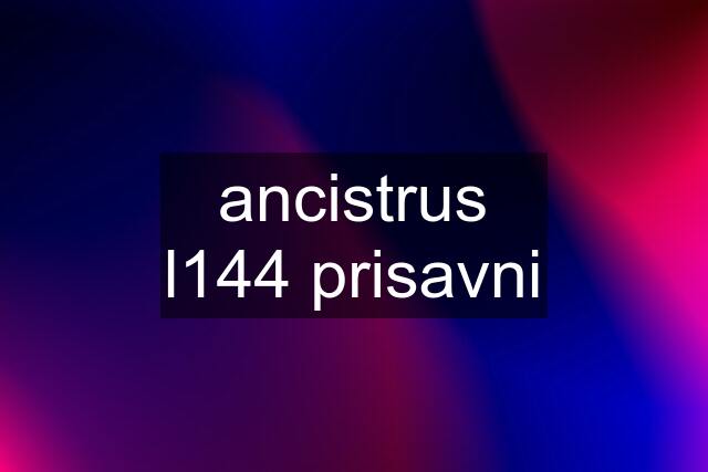 ancistrus l144 prisavni