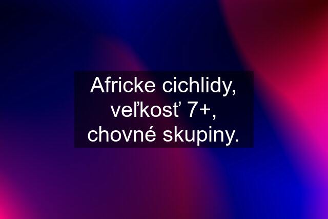 Africke cichlidy, veľkosť 7+, chovné skupiny.