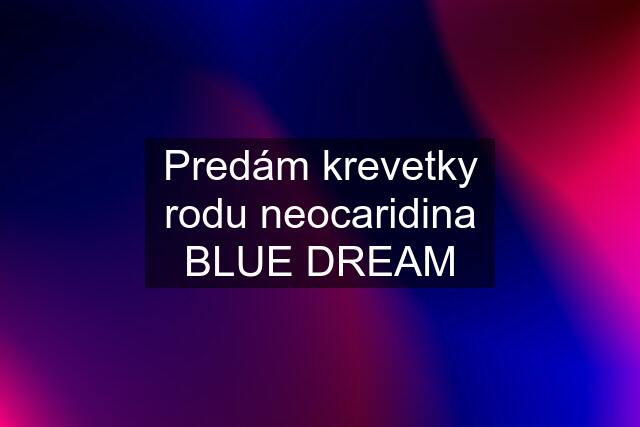 Predám krevetky rodu neocaridina BLUE DREAM