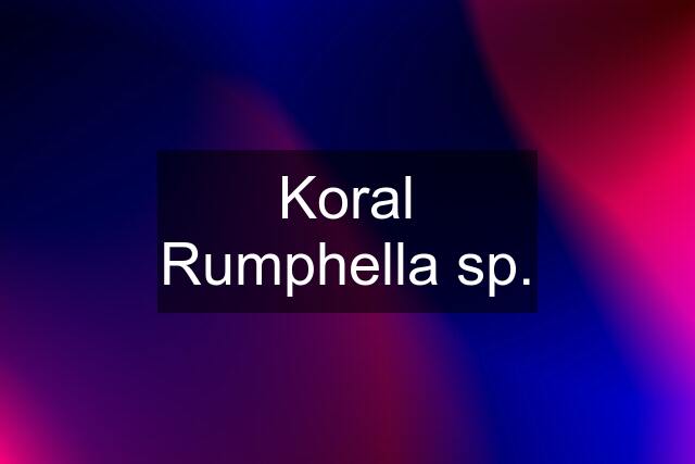 Koral Rumphella sp.