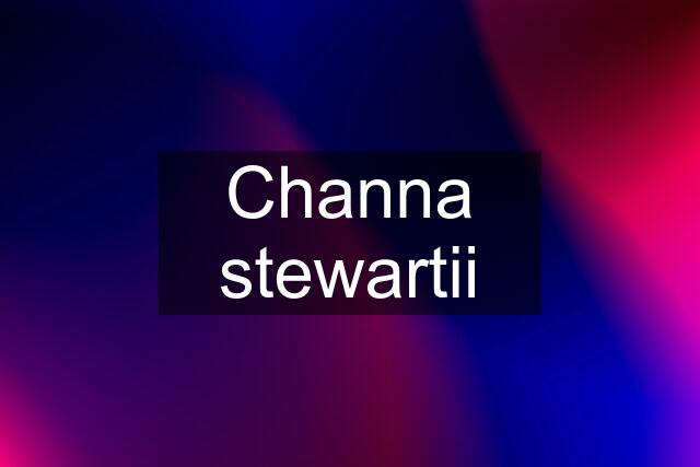 Channa stewartii