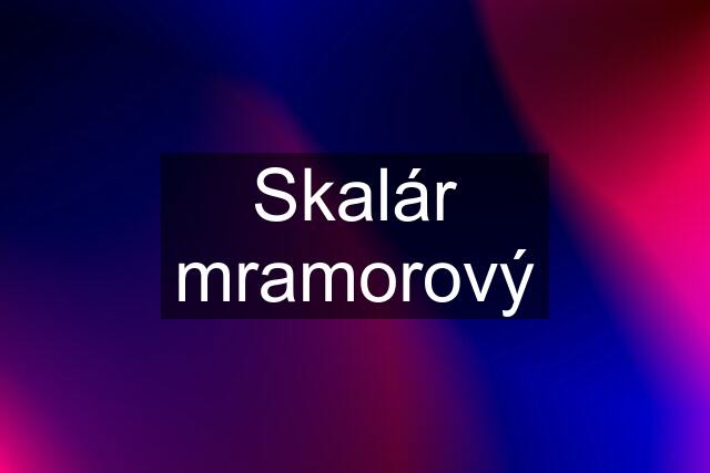 Skalár mramorový