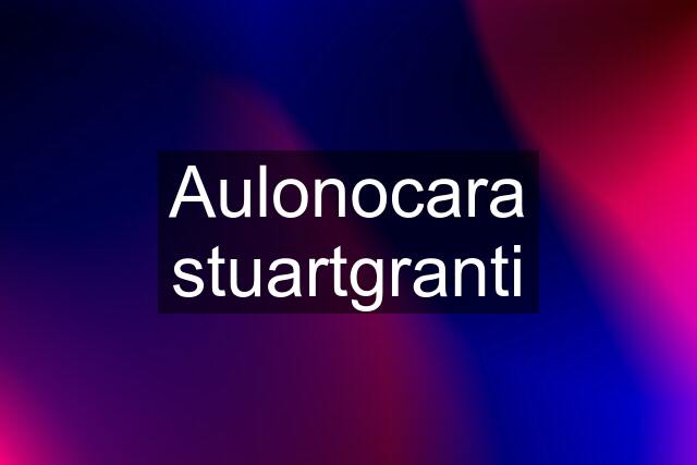 Aulonocara stuartgranti