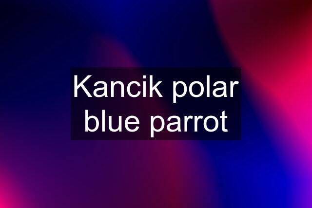 Kancik polar blue parrot