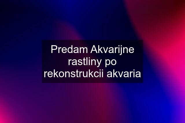 Predam Akvarijne rastliny po rekonstrukcii akvaria