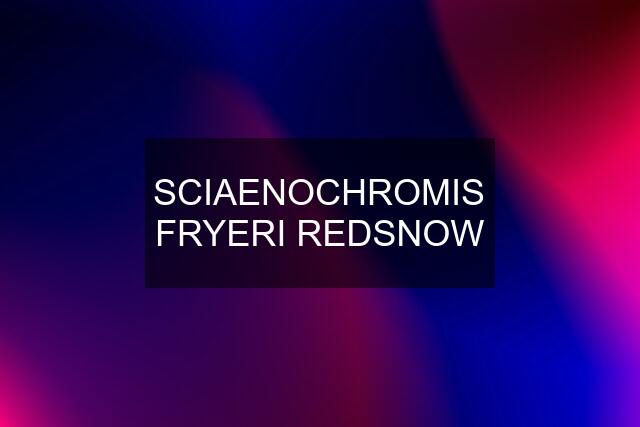 SCIAENOCHROMIS FRYERI REDSNOW