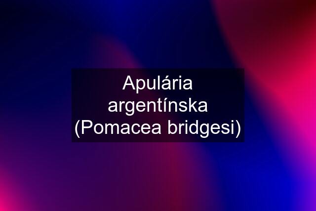 Apulária argentínska (Pomacea bridgesi)