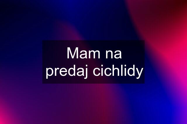 Mam na predaj cichlidy