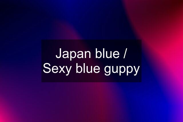 Japan blue / Sexy blue guppy