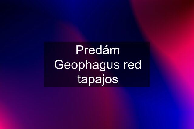 Predám Geophagus red tapajos