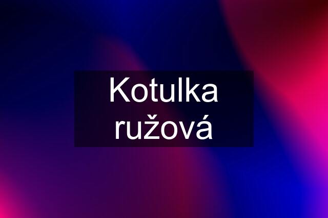 Kotulka ružová