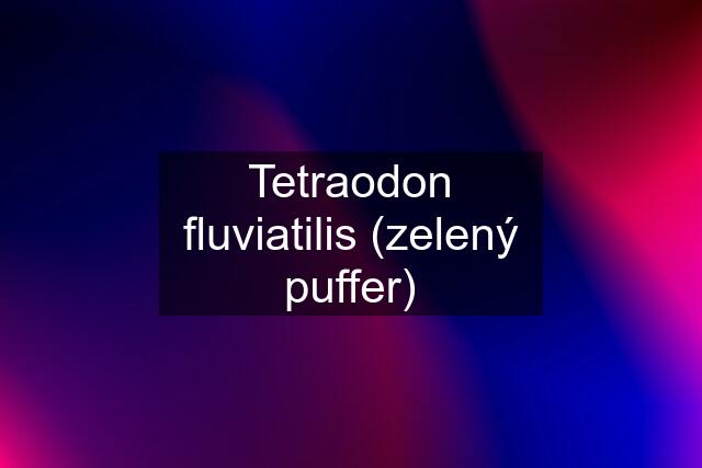 Tetraodon fluviatilis (zelený puffer)