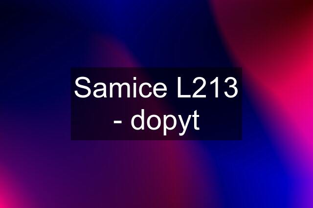 Samice L213 - dopyt