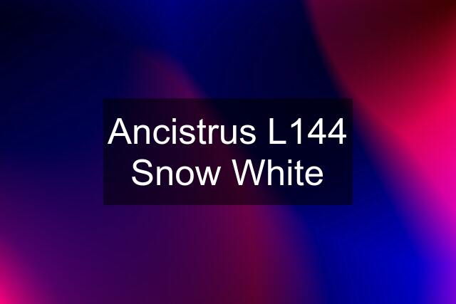 Ancistrus L144 Snow White