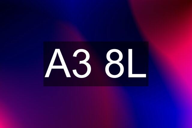 A3 8L