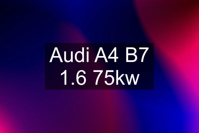 Audi A4 B7 1.6 75kw