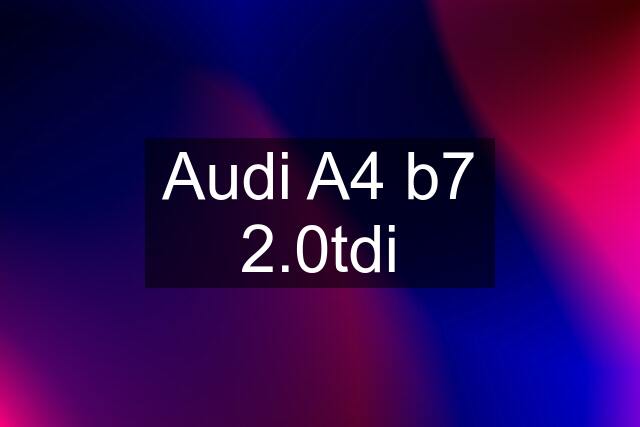 Audi A4 b7 2.0tdi