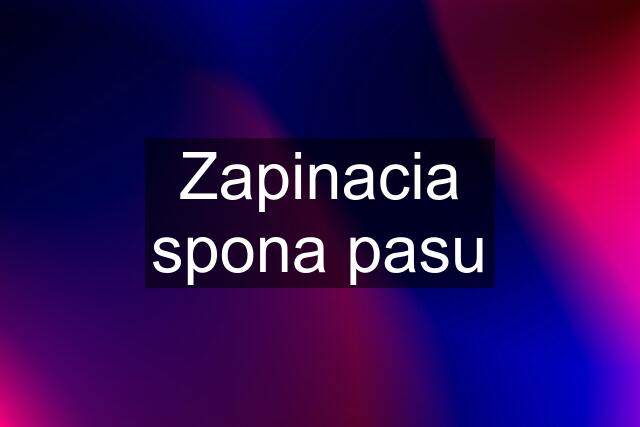 Zapinacia spona pasu