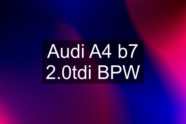 Audi A4 b7 2.0tdi BPW