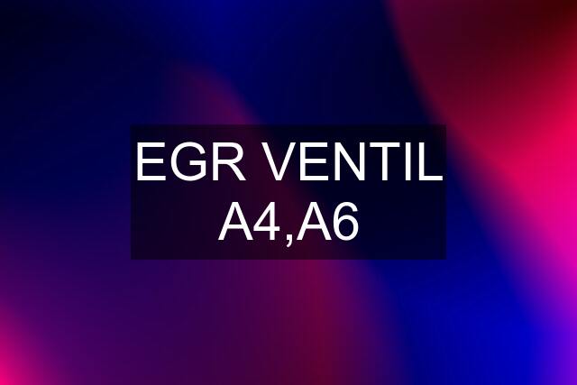 EGR VENTIL A4,A6