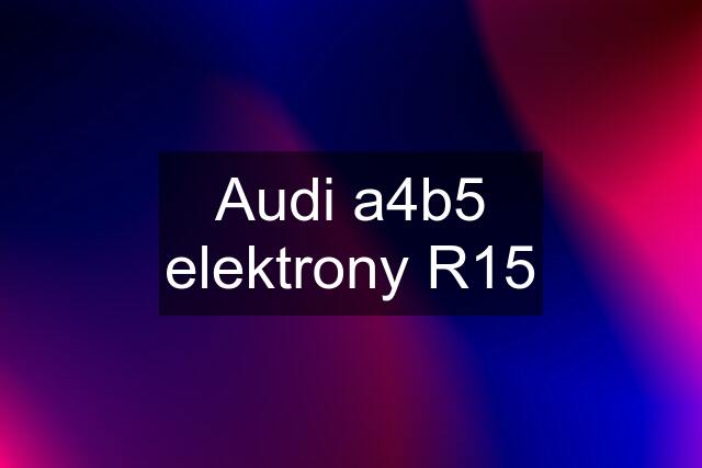 Audi a4b5 elektrony R15