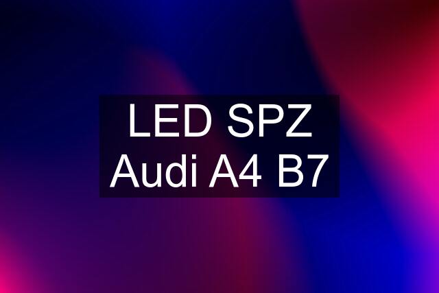 LED SPZ Audi A4 B7