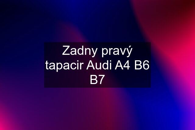 Zadny pravý tapacir Audi A4 B6 B7