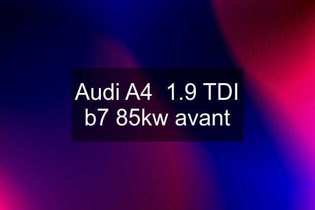 Audi A4  1.9 TDI b7 85kw avant