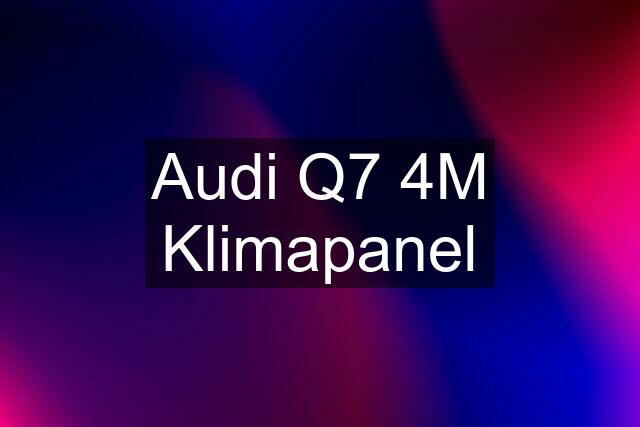 Audi Q7 4M Klimapanel