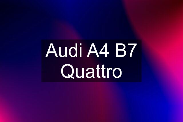 Audi A4 B7 Quattro