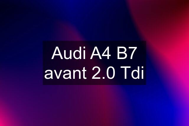 Audi A4 B7 avant 2.0 Tdi