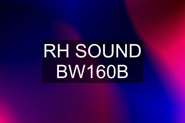 RH SOUND BW160B