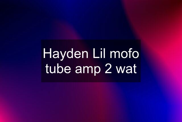 Hayden Lil mofo tube amp 2 wat