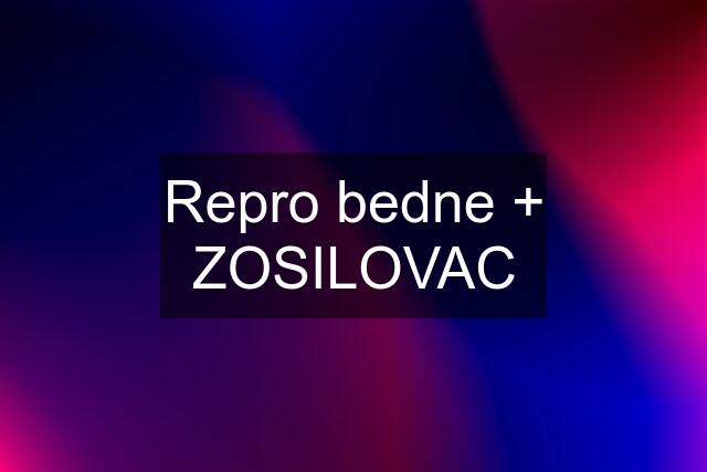 Repro bedne + ZOSILOVAC