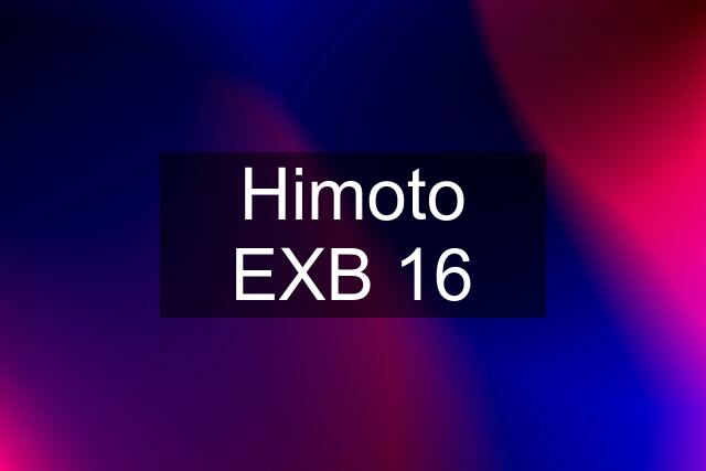 Himoto EXB 16