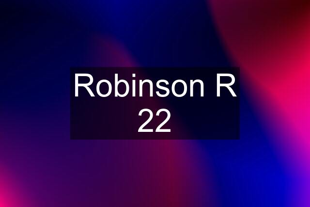 Robinson R 22