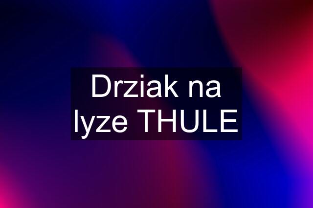 Drziak na lyze THULE