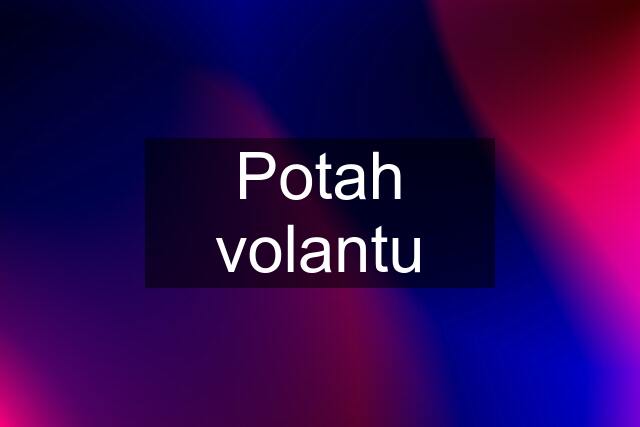 Potah volantu