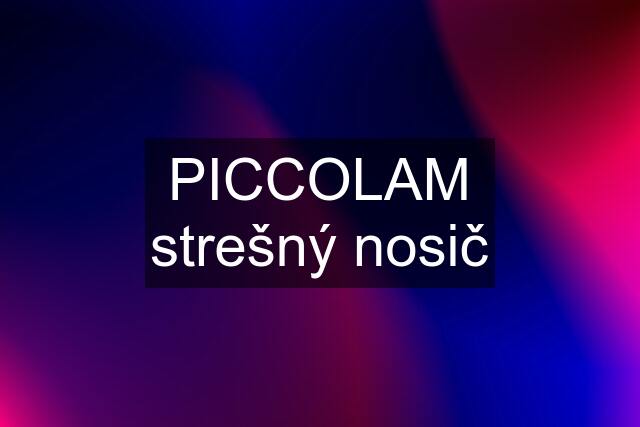 PICCOLAM strešný nosič