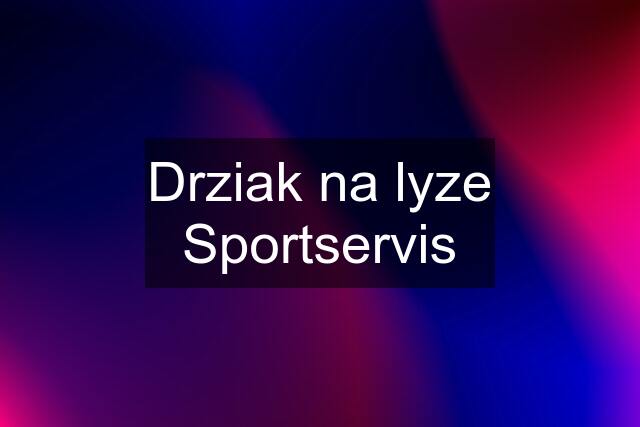 Drziak na lyze Sportservis