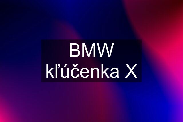 BMW kľúčenka X