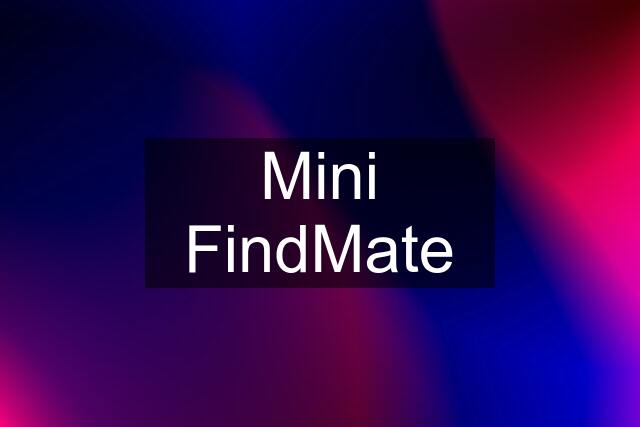 Mini FindMate