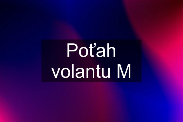 Poťah volantu M