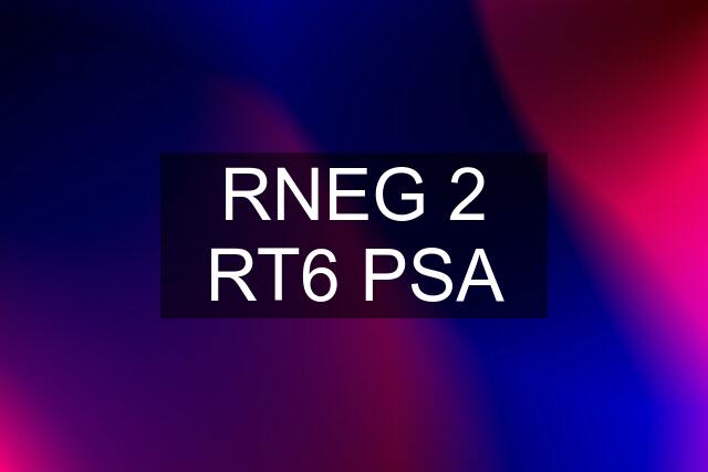 RNEG 2 RT6 PSA